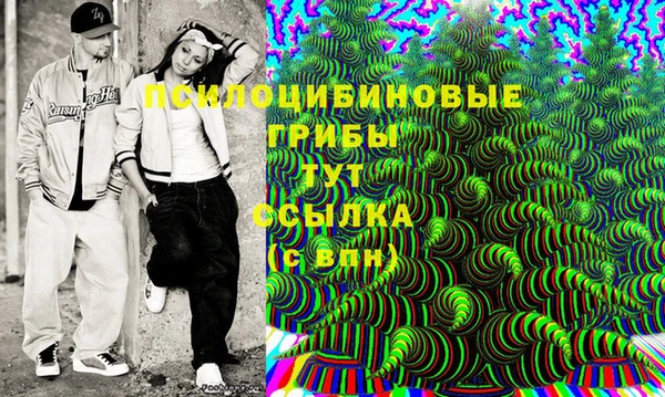 эйфоретик Богданович